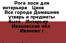 Рога лося для интерьера › Цена ­ 3 300 - Все города Домашняя утварь и предметы быта » Интерьер   . Ивановская обл.,Иваново г.